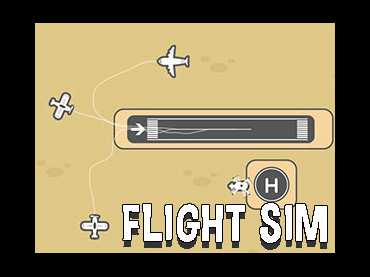 Flight Sim - Physical Form