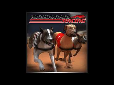 Greyhound Racing