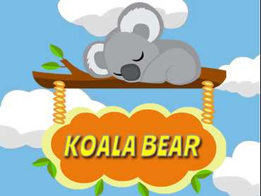 Koala Bear