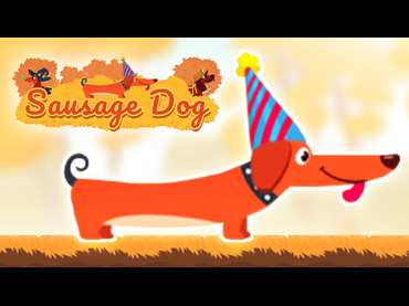 Sausage Dog